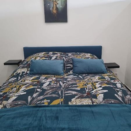 Les Mirabelles Apartment Metz Bagian luar foto