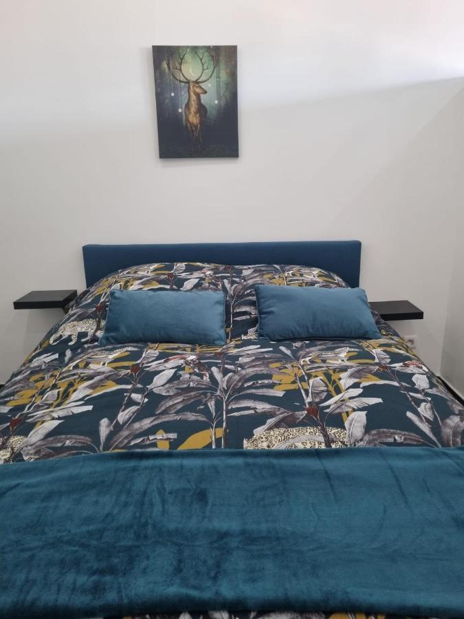 Les Mirabelles Apartment Metz Bagian luar foto